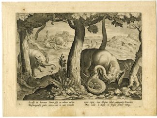 Antique Master Print-ELEPHANT-SERPENT-HUNTING-SCENE-Mallery-Stradanus-c.1596
