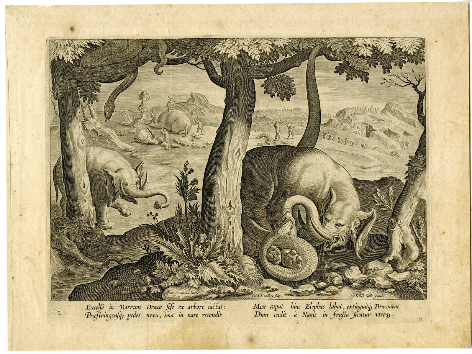 , Antique Master Print-ELEPHANT-SERPENT-HUNTING-SCENE-Mallery-Stradanus-c.1596, Pictura Antique Prints