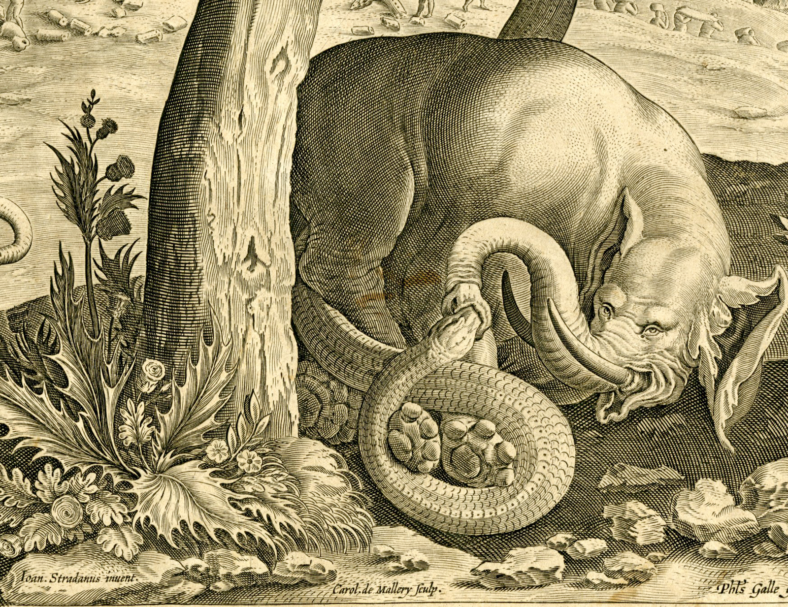 , Antique Master Print-ELEPHANT-SERPENT-HUNTING-SCENE-Mallery-Stradanus-c.1596, Pictura Antique Prints