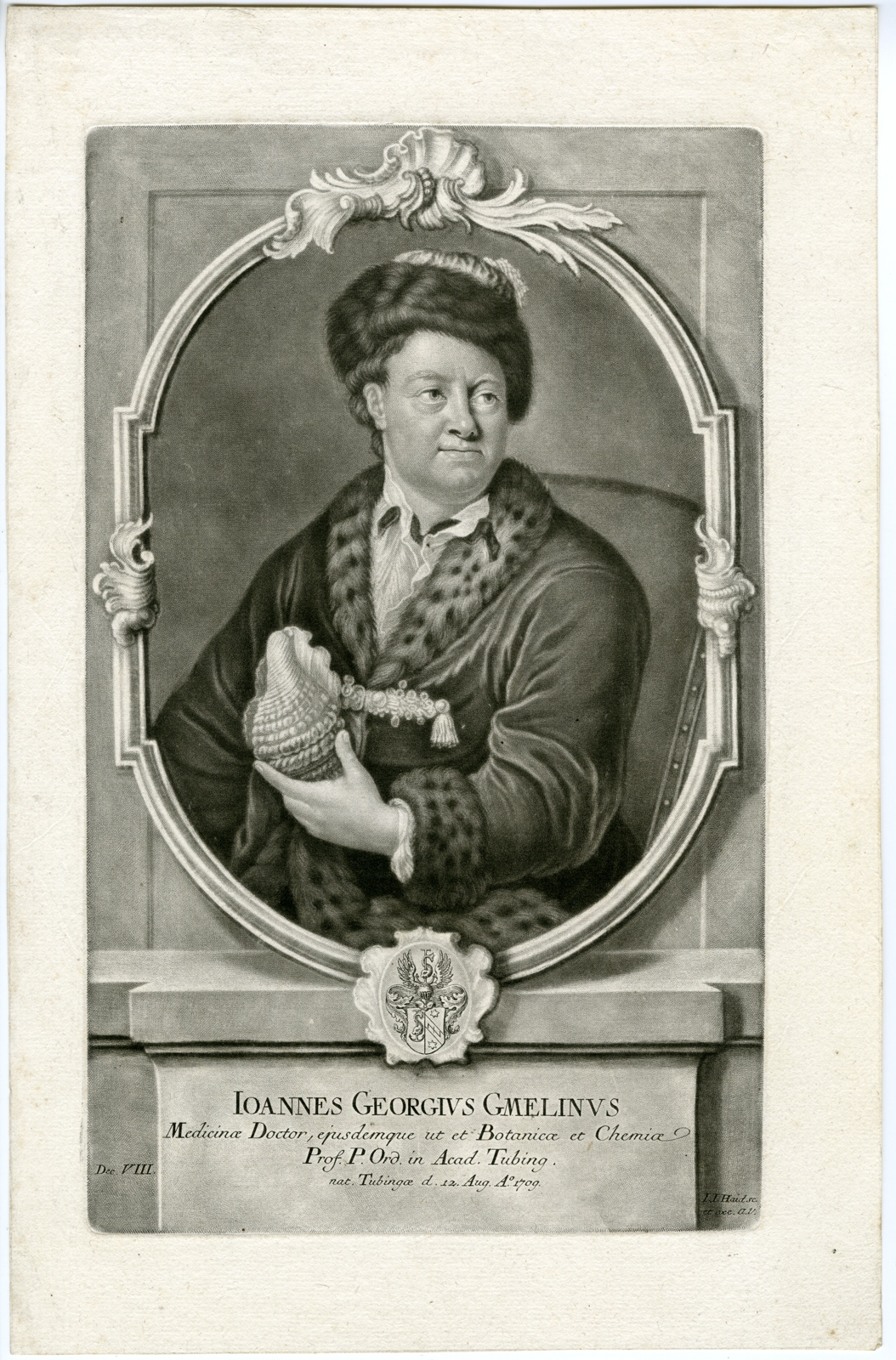 , Antique Master Print-PORTRAIT-JOHANN-GEORG-GMELIN-MEZZOTINT-Haid-Majer-1760, Pictura Antique Prints