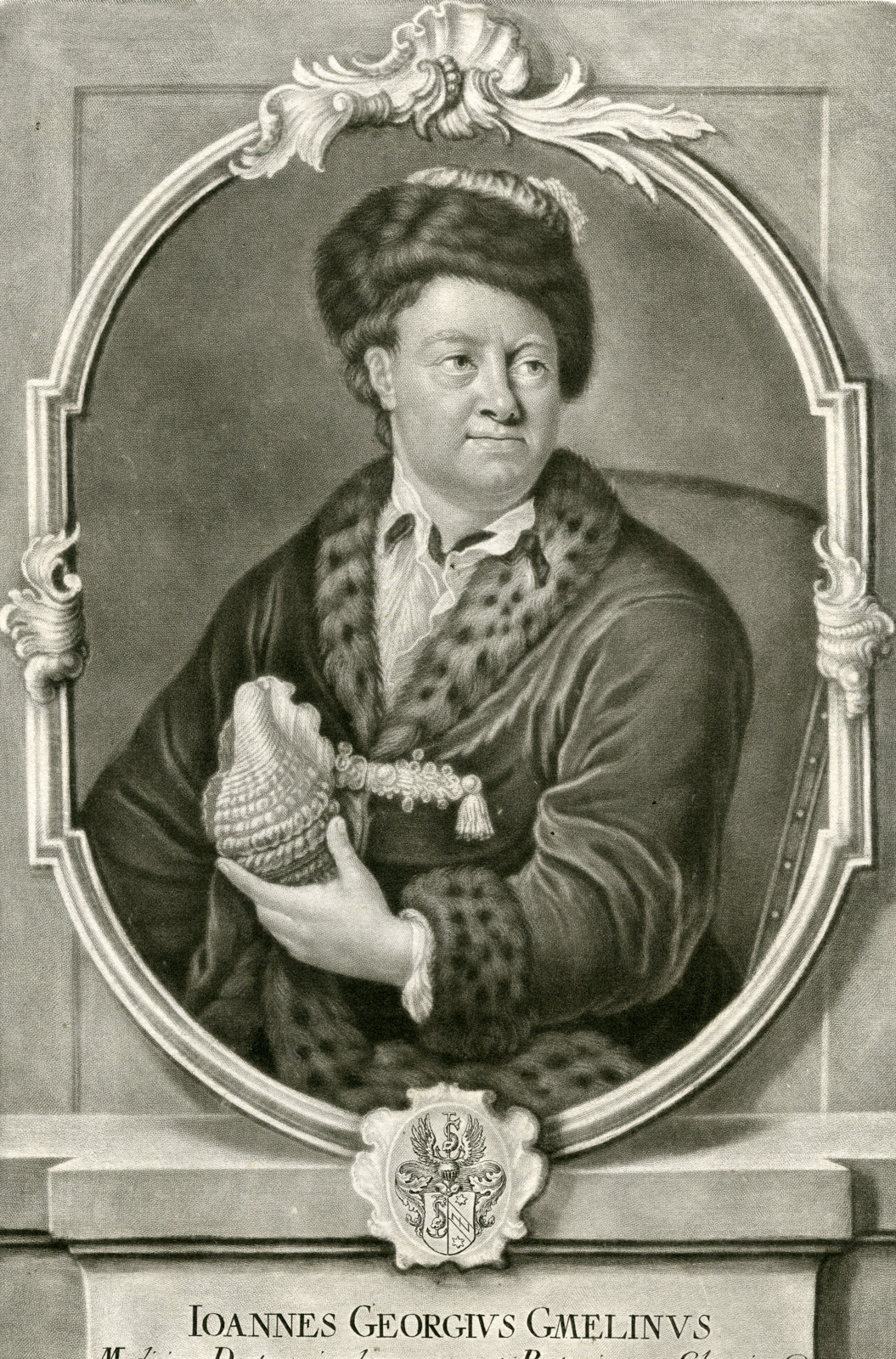 , Antique Master Print-PORTRAIT-JOHANN-GEORG-GMELIN-MEZZOTINT-Haid-Majer-1760, Pictura Antique Prints