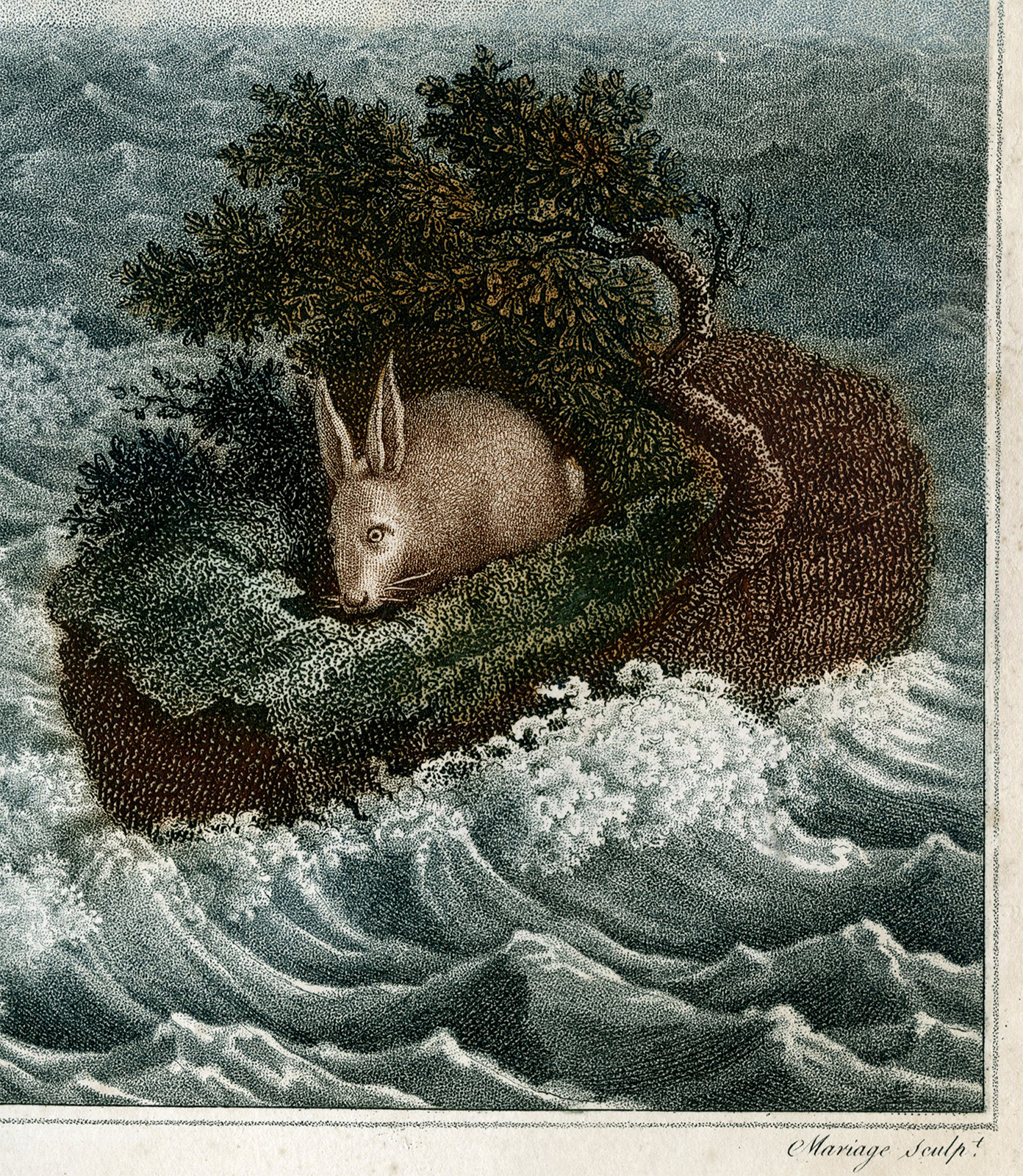 , Antique Master Print-LE-PREMIER-NAVIGATEUR-RABBIT-Mariage-Charpentier-c.1810, Pictura Antique Prints