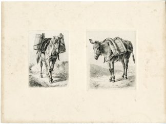 Antique Print-HORSE-MULE-PACKED-Voltz-1845