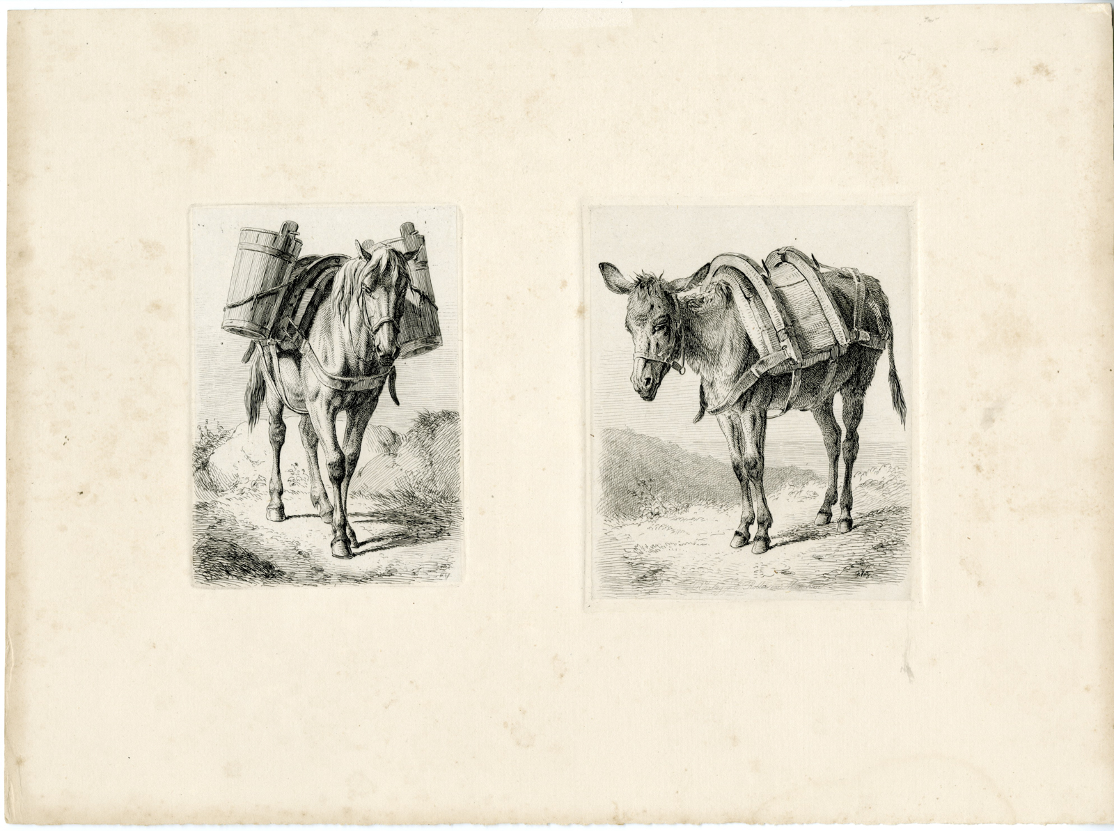 , Antique Print-HORSE-MULE-PACKED-Voltz-1845, Pictura Antique Prints