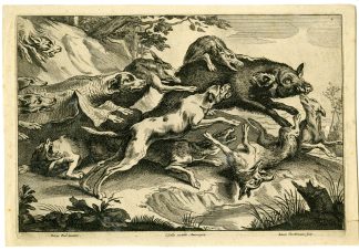 4-Rare-Antique Master Prints-LION-DEER-BOAR-BEAR-HUNT-Vorsterman I-Boel-c.1645