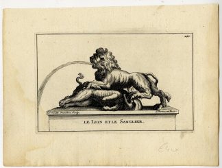 Antique Print-LE-LION-ET-LE-SANGLIER-BOAR-143-Thomassin-Van Cleve-1694-1724