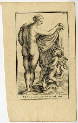 Antique Print-VENUS-PAROISSANT-SUR-LA-MER-PLATE-229-Thomassin-1694-1724