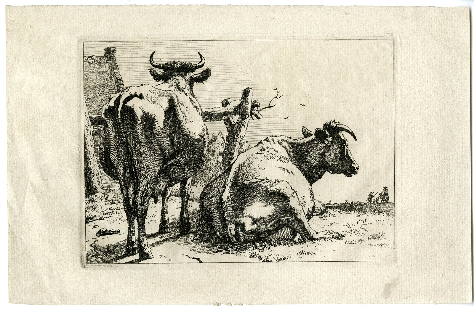 , Antique Master Print-COWS FROM BEHIND-Potter-1650, Pictura Antique Prints