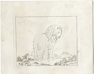 Antique Master Print-LION-STUDY-ETCHING-ANIMAL-Berthoud-1820