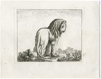 Antique Master Print-LION-STUDY-FINISHED-ETCHING-Berthoud-1820