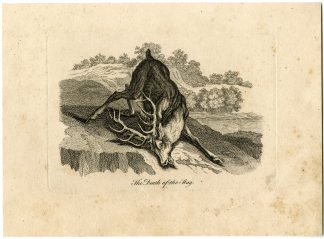 Antique Master Print-THE-DEATH-OF-THE-STAG-Boydell-Berthoud-1820