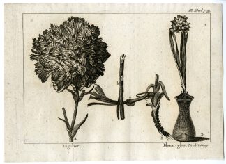 Antique Print-CARNATION-FLOWER-VASE-PL.III.93-Pluche-1799