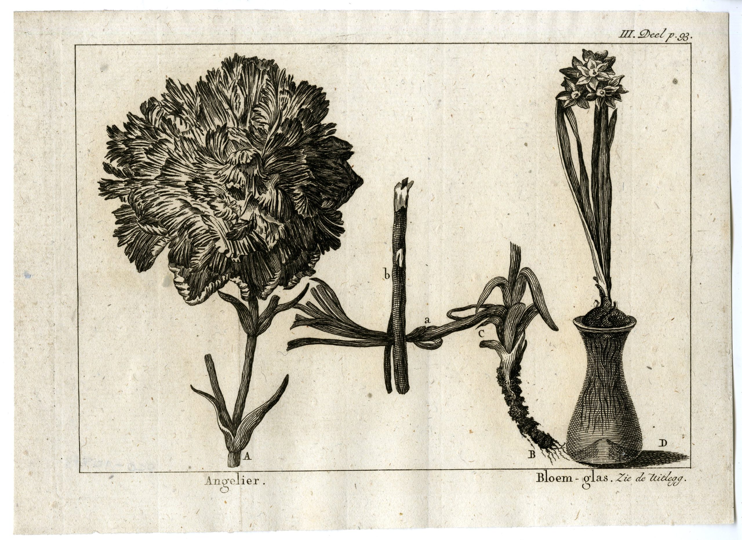 , Antique Print-CARNATION-FLOWER-VASE-PL.III.93-Pluche-1799, Pictura Antique Prints