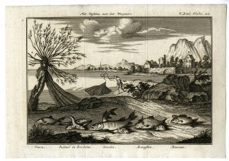 Antique Print-FISHING?WITH?CAST?NET?AND?FISH?TYPES-PL.V.112-Pluche-1799
