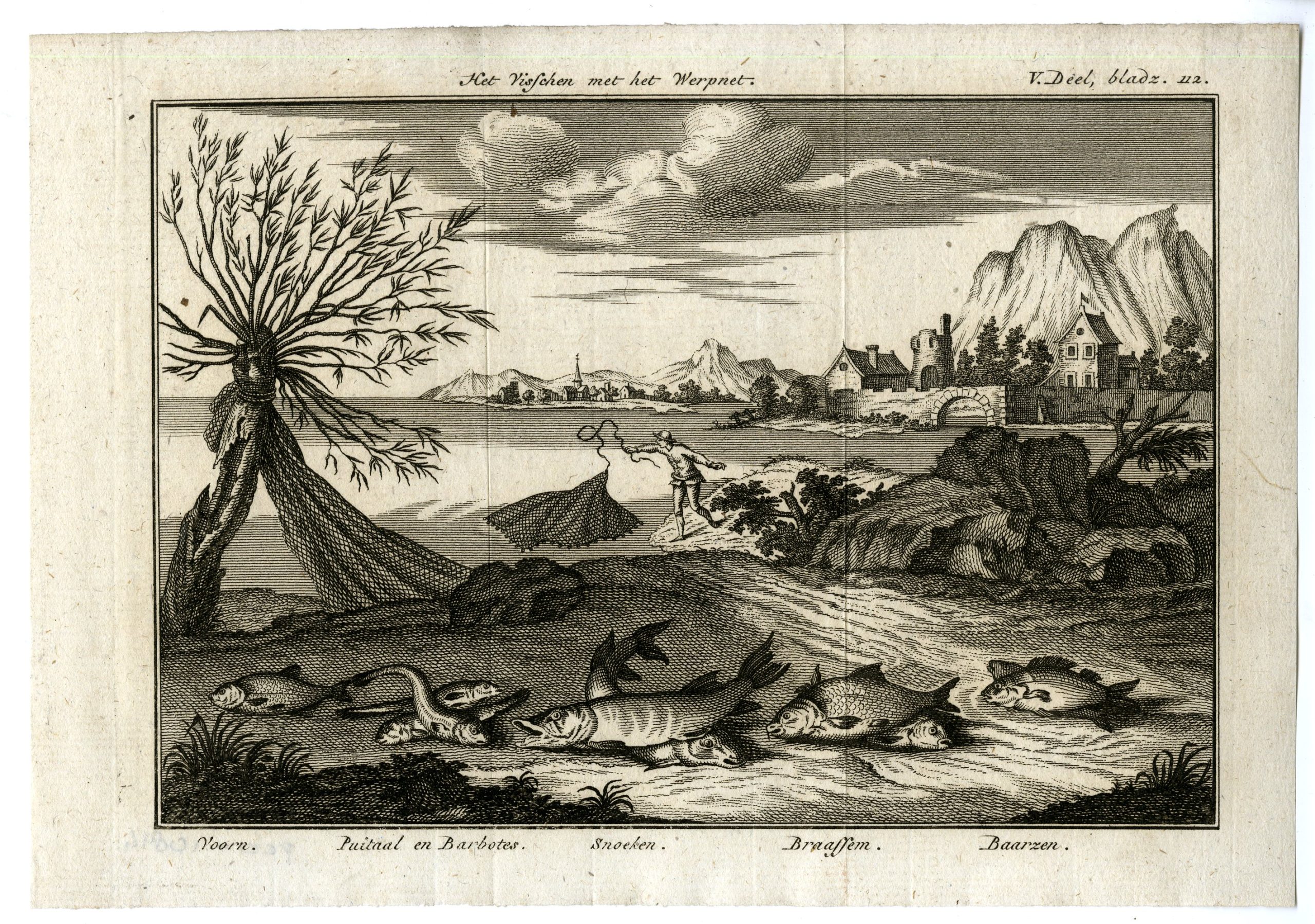 , Antique Print-FISHING?WITH?CAST?NET?AND?FISH?TYPES-PL.V.112-Pluche-1799, Pictura Antique Prints