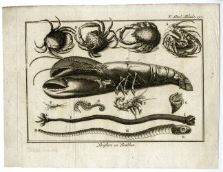 Antique Print-LOBSTER-CRABS-MARINE-INVERTEBRATES-ENGRAVING-PL.V.297.-Pluche-1799