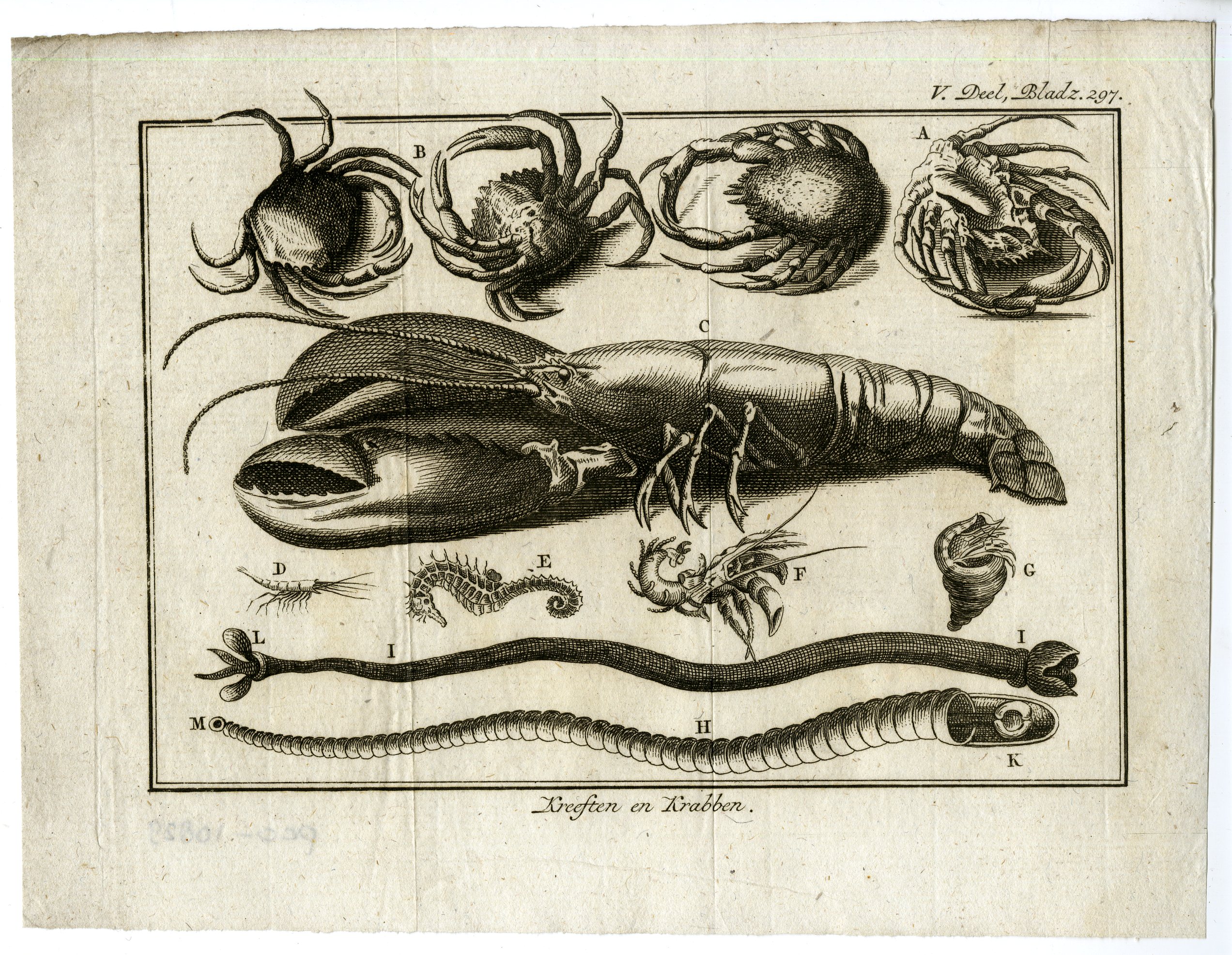 , Antique Print-LOBSTER-CRABS-MARINE-INVERTEBRATES-ENGRAVING-PL.V.297.-Pluche-1799, Pictura Antique Prints