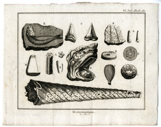 Antique Print-FOSSILS-NATURAL-HISTORY-PL.VI.187.-Pluche-1799