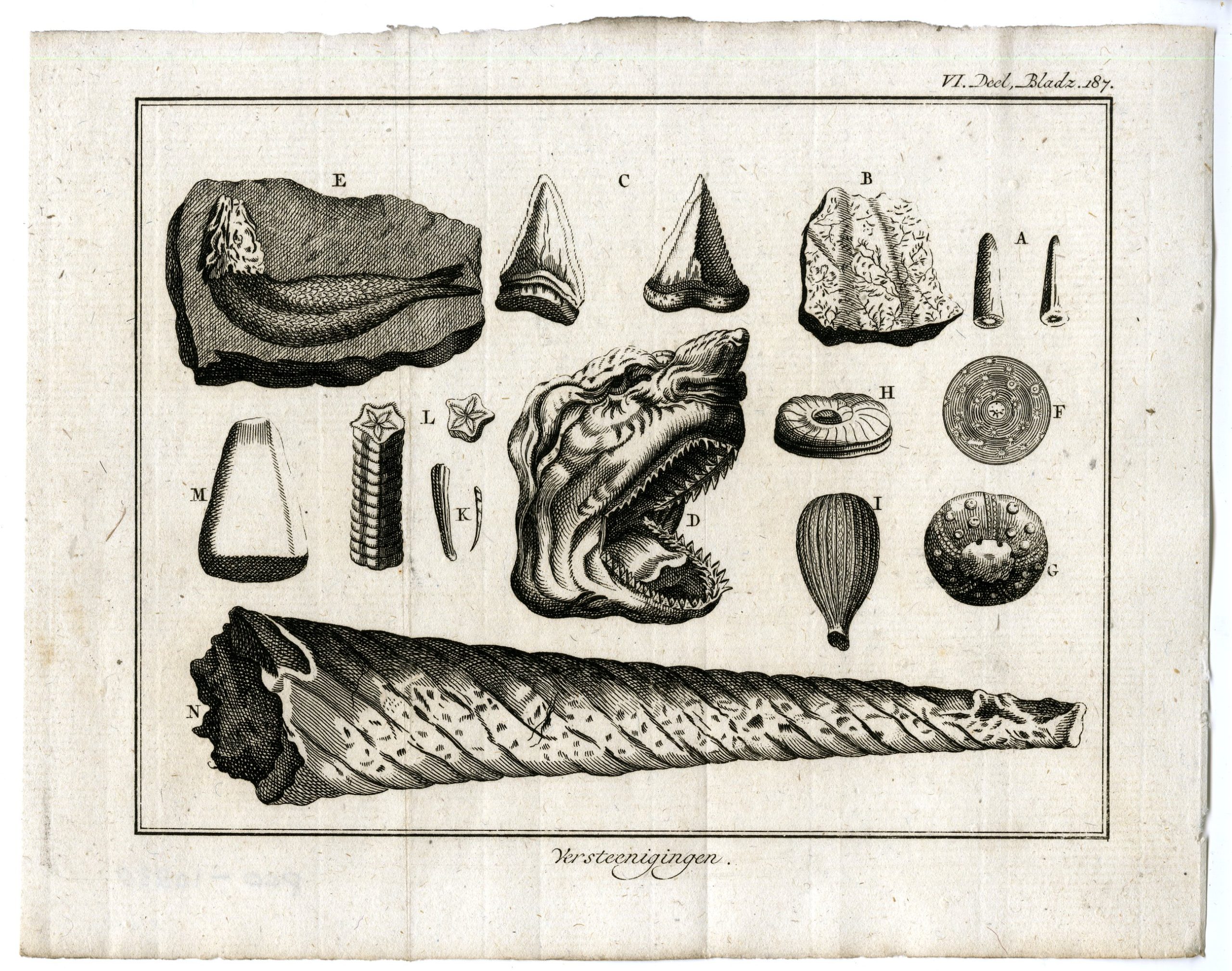 , Antique Print-FOSSILS-NATURAL-HISTORY-PL.VI.187.-Pluche-1799, Pictura Antique Prints