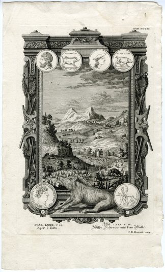 Antique Print-WILD-BOAR-PHYSICA-SACRA-Heumann-Scheuchzer-1731-1735