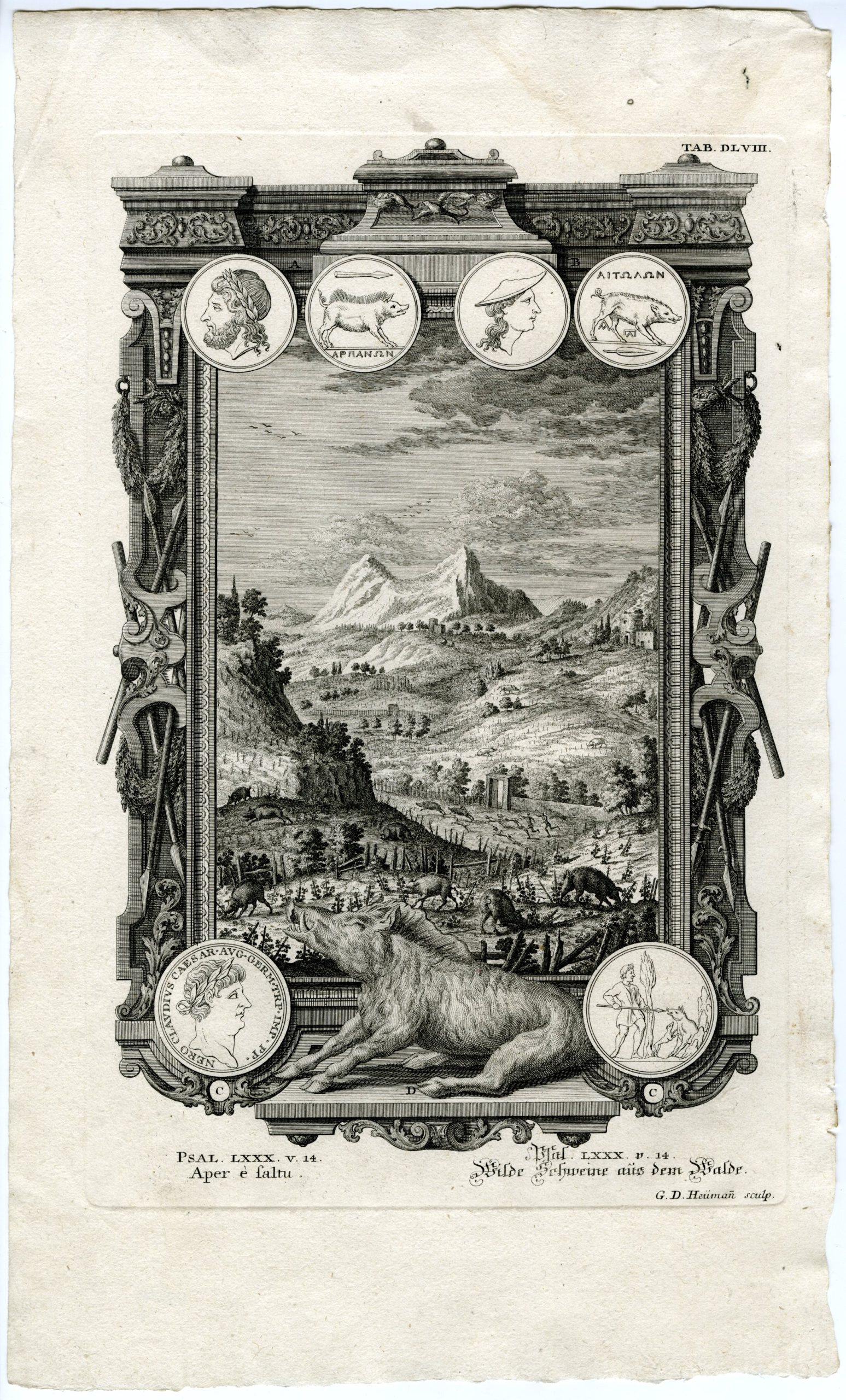 , Antique Print-WILD-BOAR-PHYSICA-SACRA-Heumann-Scheuchzer-1731-1735, Pictura Antique Prints