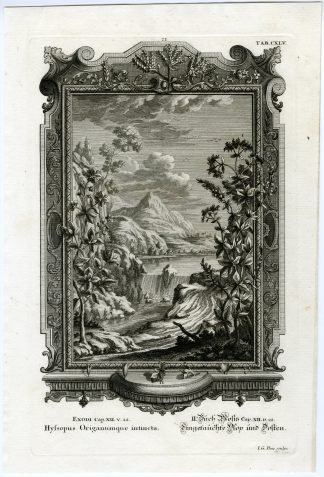 Antique Print-HYSSOP-ORIGANO-LANDSCAPE-WATERFALL-Pinz-Scheuchzer-1731-1735