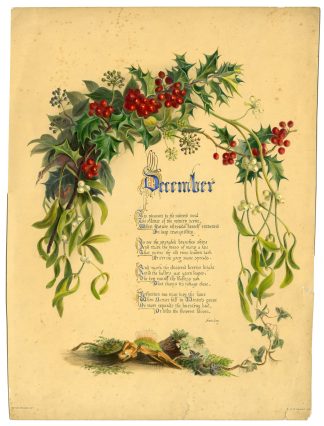 Antique Master Print-DECEMBER-WILD-FLOWERS-Hanhart-Brooke-1855
