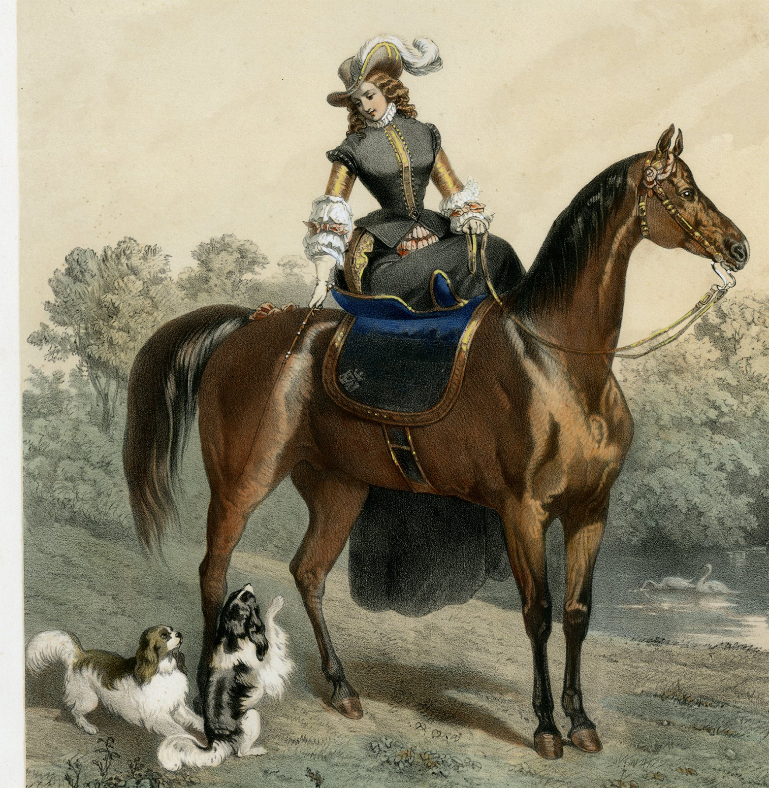 , Antique Master Print-EQUESTRIAN-GIRL-RIDING HORSE-DOGS-Jaime-Dreux-c.1850-1860, Pictura Antique Prints