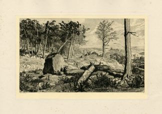 Antique Master Print-SIMPLICIUS-FOREST-WILDERNESS-LANDSCAPE-Klinger-1881
