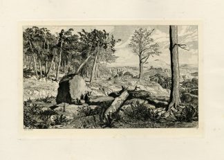 Antique Master Print-SIMPLICIUS-FOREST-WILDERNESS-LANDSCAPE-Klinger-1881