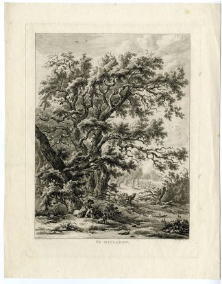 Antique Master Print-MIDLAREN-DRENTHE-LANDSCAPE-Schwegman-Van Drielst-1771