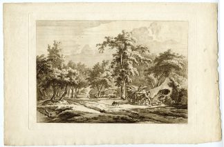 Antique Master Print-DRENTHE-LANDSCAPE-WESTERBORK-Schwegman-Van Drielst-1771