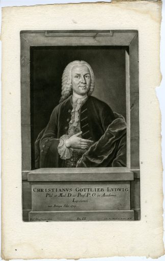 Antique Master Print-CHRISTIAN-GOTTLIEB-LUDWIG-BOTANIST-Haid-Haussmann-1757