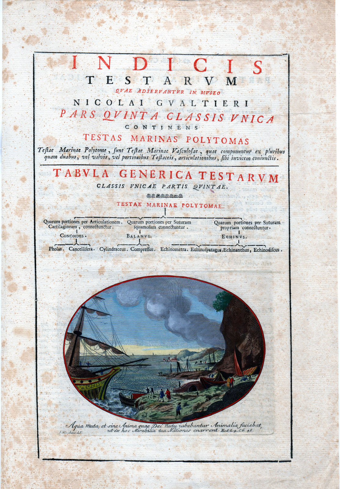 , Antique Print-TITLE PAGE-INDICUS TESTARUM-MARINE-LIFE-Menaboni-Gualtieri-1750, Pictura Antique Prints
