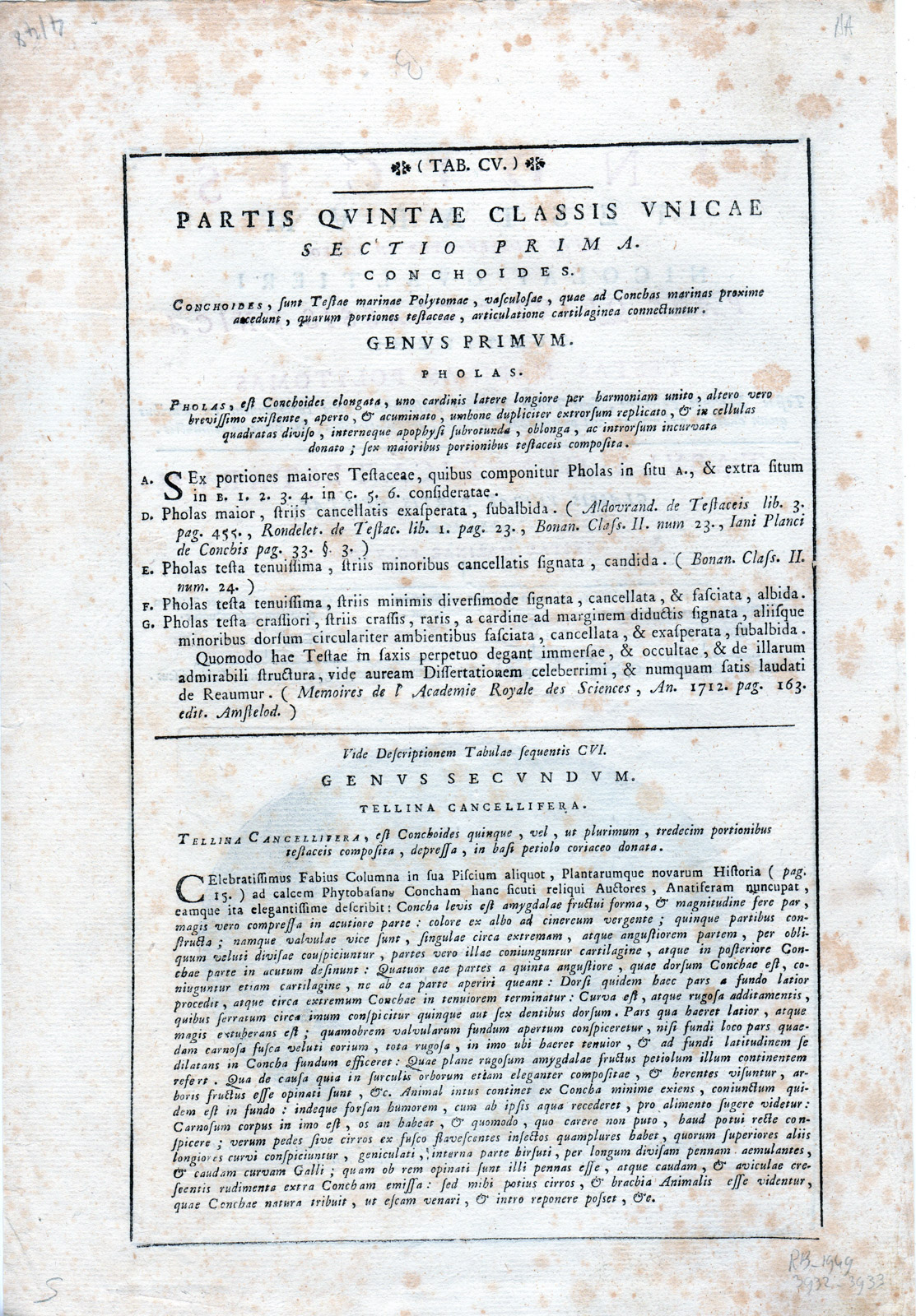, Antique Print-TITLE PAGE-INDICUS TESTARUM-MARINE-LIFE-Menaboni-Gualtieri-1750, Pictura Antique Prints