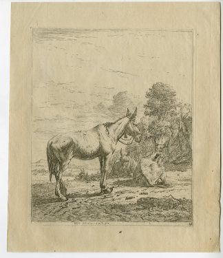 Antique Master Print-ANIMALS-LANDSCAPE-DONKEYS-TREES-du Jardin-1653
