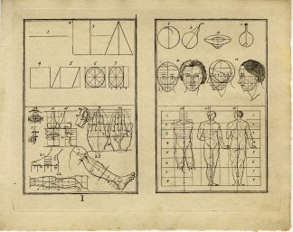 Antique Master Print-DRAWING-HUMAN-PROPORTIONS-ANATOMY-STUDY-Anonymous-1810
