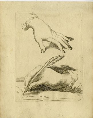 Antique Master Print-OLD-BEARDED-MAN-PROFILE-DRAWING-STUDY-Carracci-1810