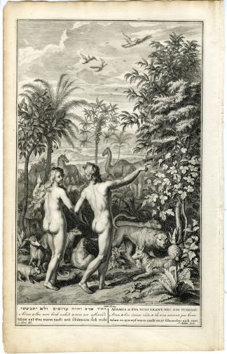 Antique Print-BIBLE-GENESIS-ADAM-EVE-NAKED-GARDEN OF EDEN-Mulder-de Hondt-1728