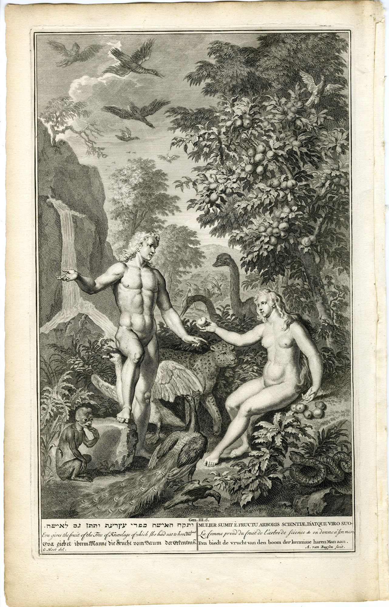 Pictura 14182 416x649 Antique Print-BIBLE-GENESIS-ADAM-EVE-FORBIDDEN FRUIT-NUDE-Buysen-de Hondt-1728