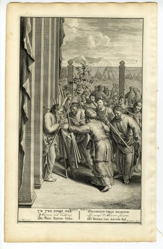 Antique Print-NUMBERS-AARON'S ROD BUDDING-ALMONDS-DIVINITY-Huyberts-Hondt-1728
