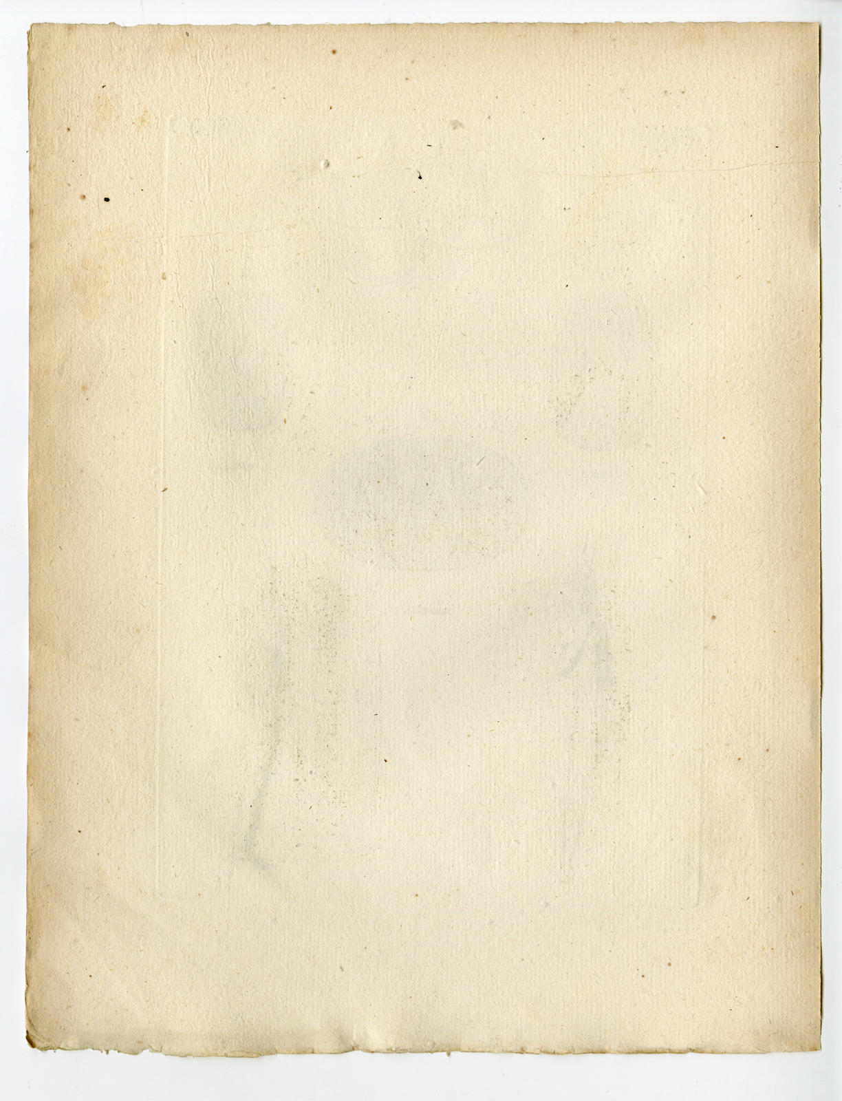 Pcom 1254 416x544 Catalogue-Receuil d'antiquités-part 7-Comte de Caylus-1767 - Image 11