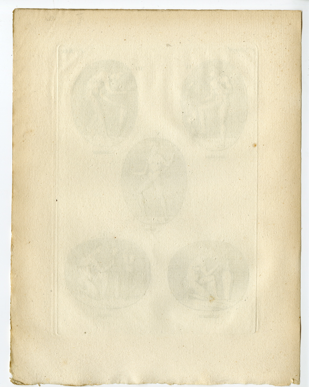 Pcom 1284 416x522 Catalogue-Receuil d'antiquités-part 7-Comte de Caylus-1767 - Image 43