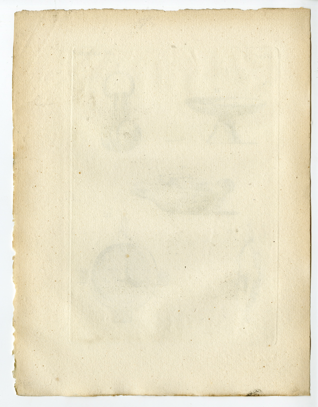 Pcom 1314 416x532 Catalogue-Receuil d'antiquités-part 7-Comte de Caylus-1767 - Image 73