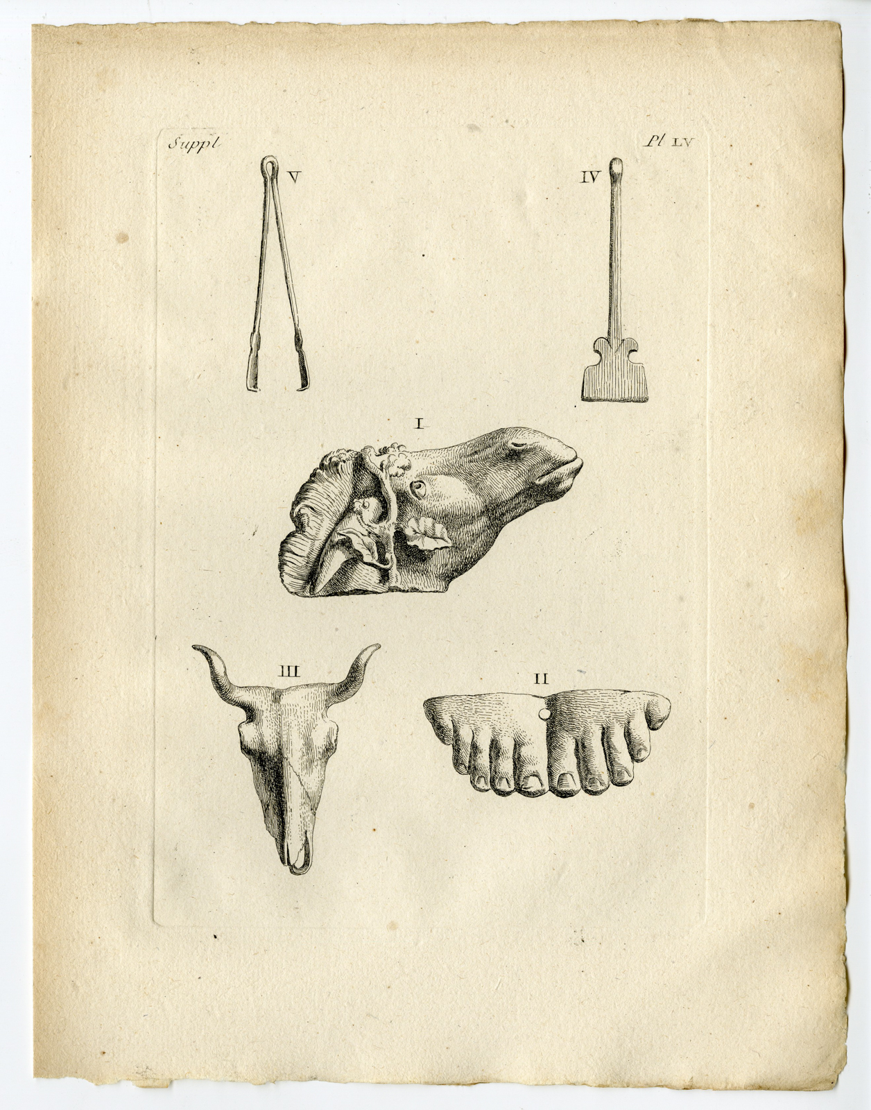 Pcom 1355 416x530 Catalogue-Receuil d'antiquités-part 7-Comte de Caylus-1767 - Image 114