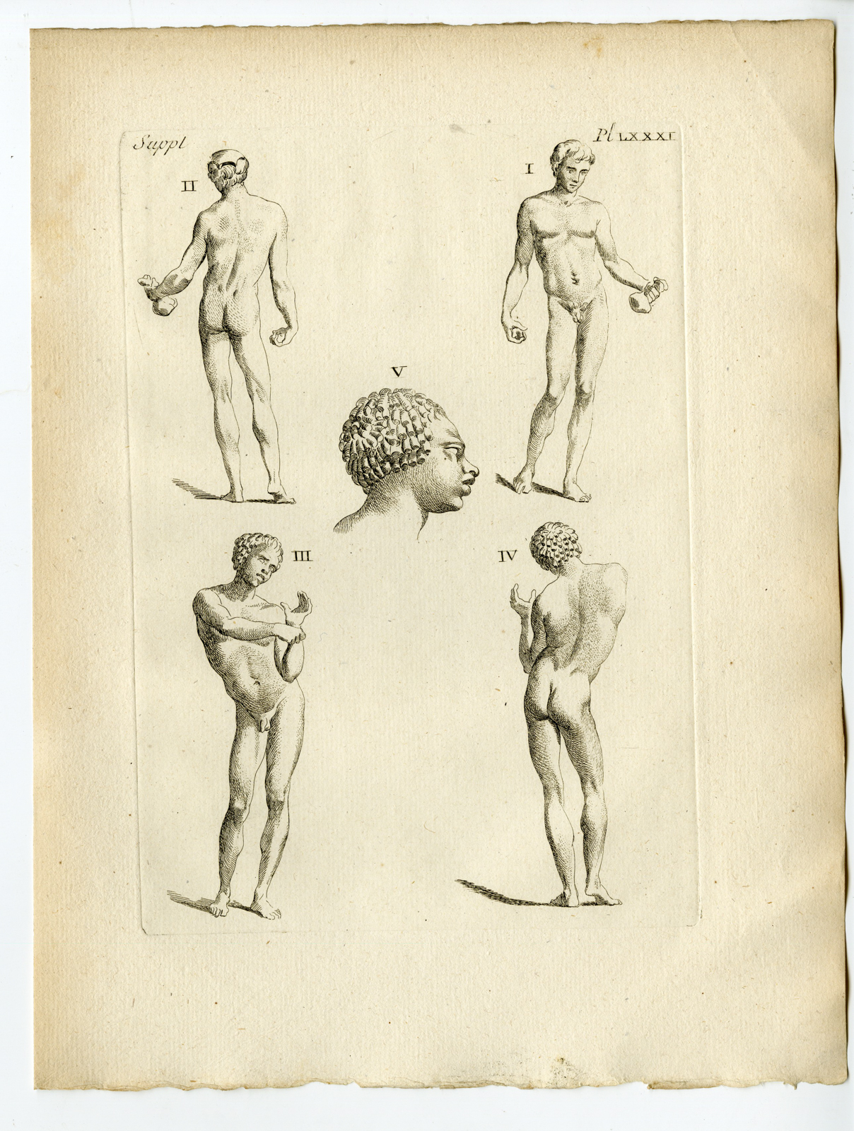 Pcom 1407 416x551 Catalogue-Receuil d'antiquités-part 7-Comte de Caylus-1767 - Image 166