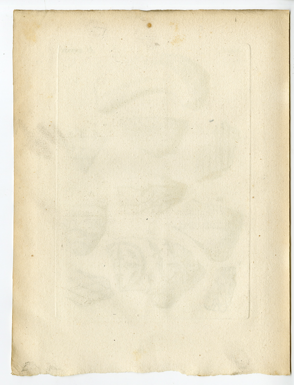 Pcom 1424 416x544 Catalogue-Receuil d'antiquités-part 7-Comte de Caylus-1767 - Image 183