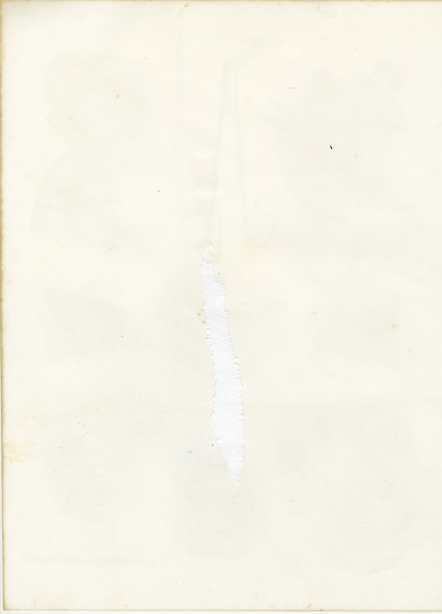 Pictura 14047 416x578 Catalogue-Bourgery-Human anatomy - Image 2