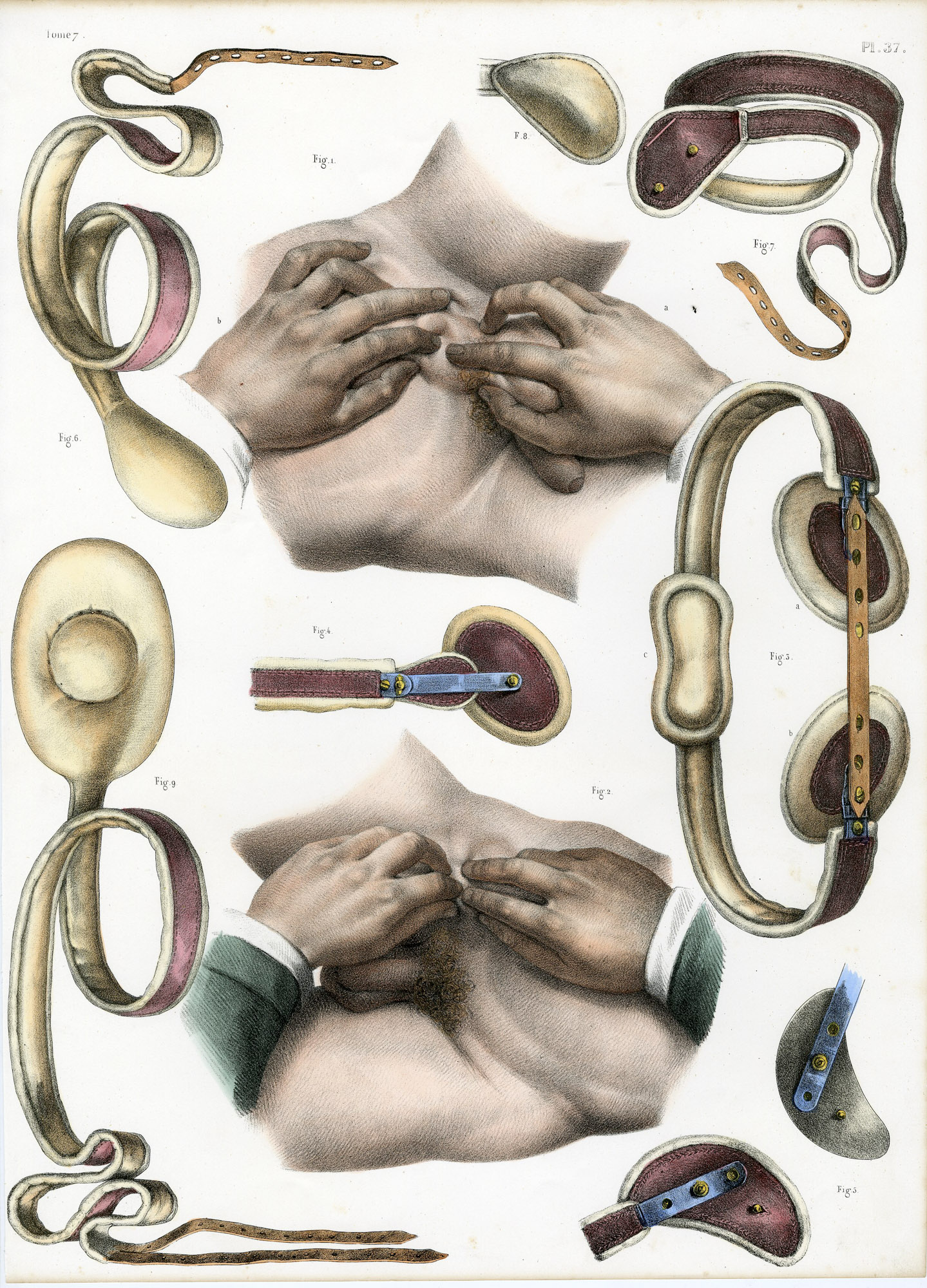 Pictura 14072 416x578 Catalogue-Bourgery-Human anatomy - Image 27