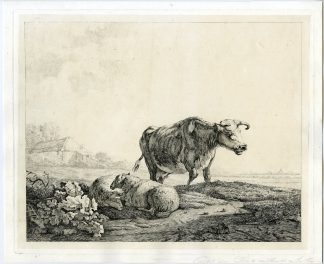 Antique Master Print-LANDSCAPE-ANIMALS-COW-SHEEP-Schulze van Houten-Strij-1840